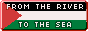Free Palestine btton